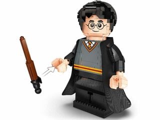 LEGO® Harry Potter & Hermione Granger™