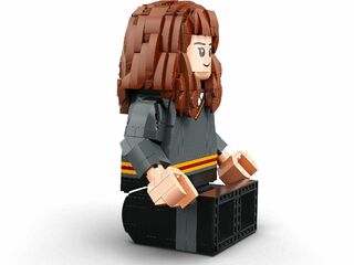 LEGO® Harry Potter & Hermione Granger™