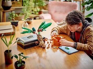 مجموعة بناء نبتة ماندراكورا من LEGO®