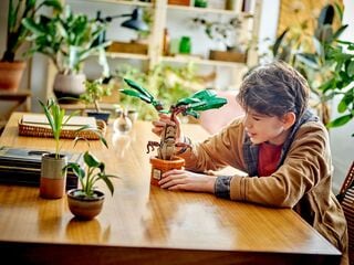 مجموعة بناء نبتة ماندراكورا من LEGO®