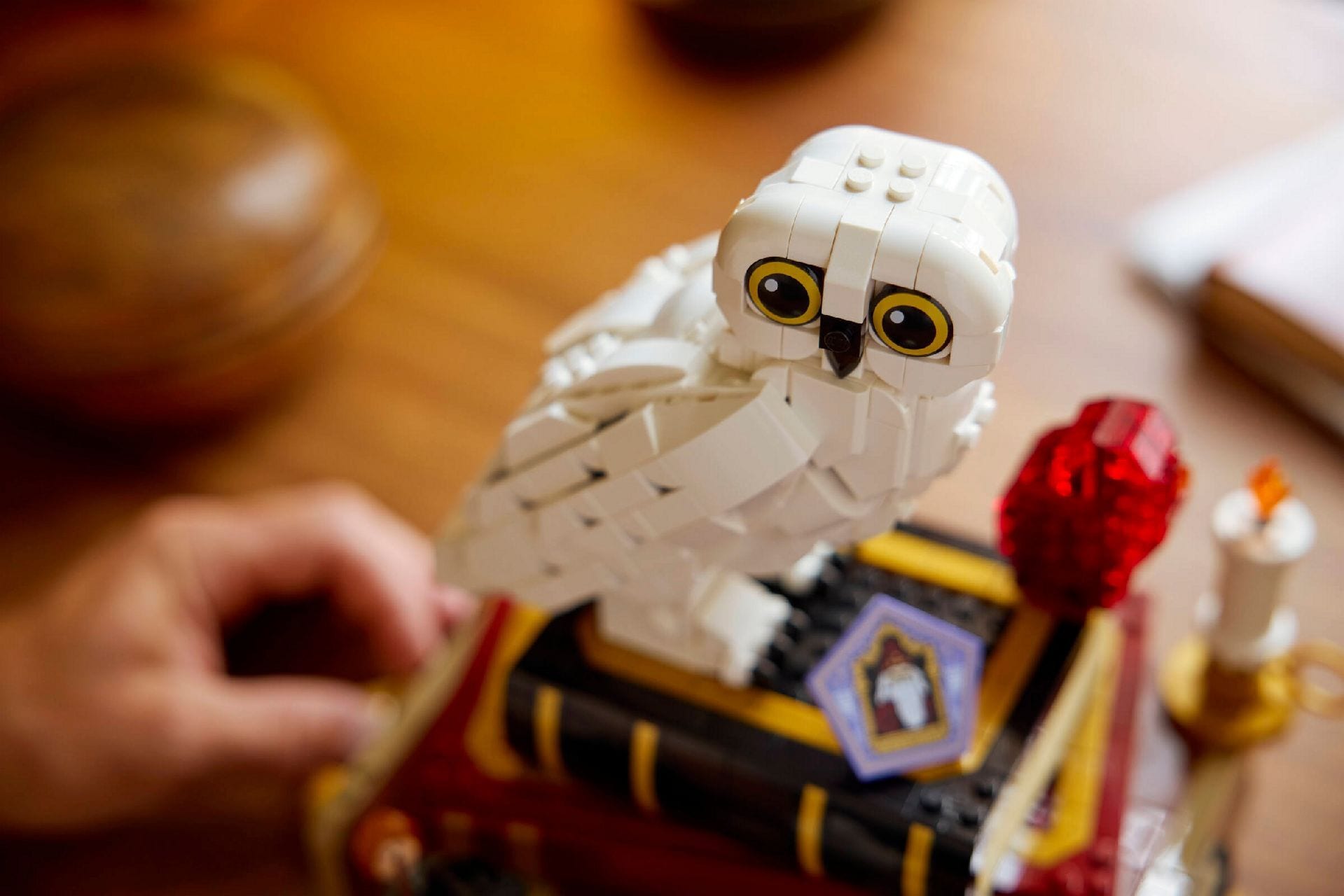 LEGO® Sorcerer's Stone – Collectors' Edition