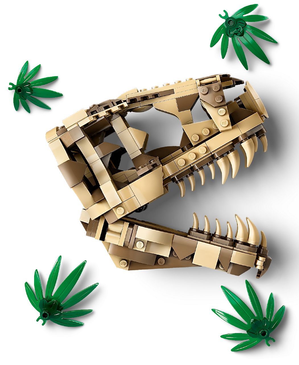 LEGO® Dinosaur Fossils: T. rex Skull