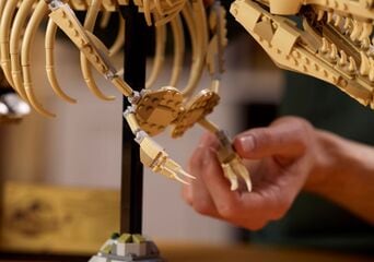 LEGO® Dinosaur Fossils: Tyrannosaurus rex
