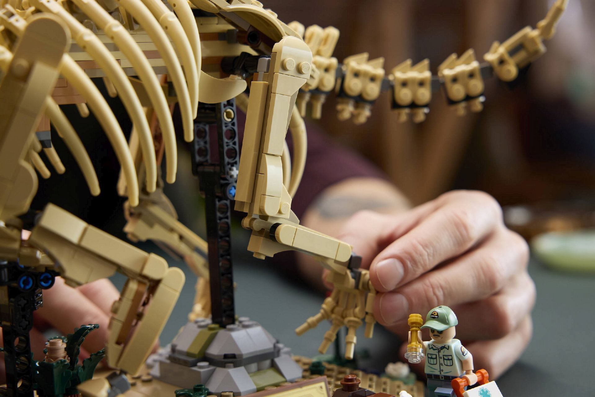 LEGO® Dinosaur Fossils: Triceratops