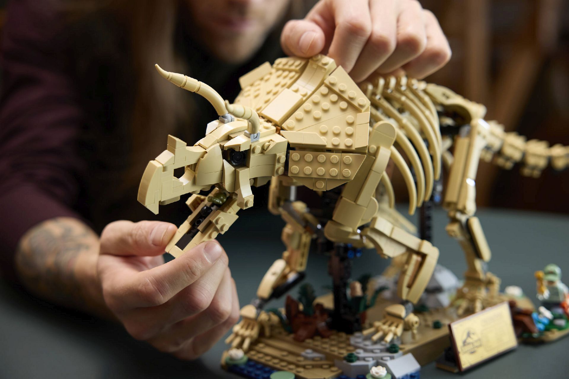 LEGO® Dinosaur Fossils: Triceratops