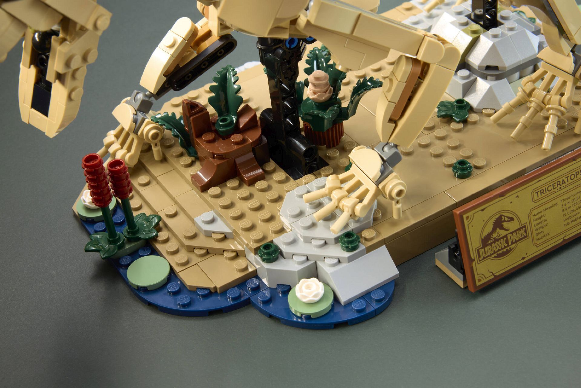 LEGO® Dinosaur Fossils: Triceratops