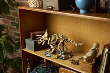 LEGO® Dinosaur Fossils: Triceratops