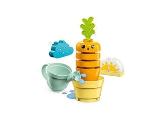 LEGO® Growing Carrot