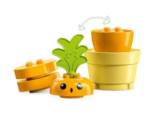 LEGO® Growing Carrot