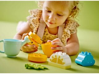 LEGO® Growing Carrot