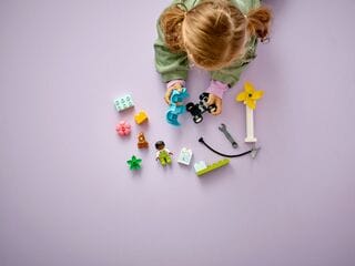 LEGO® Wind Turbine and Electric Car