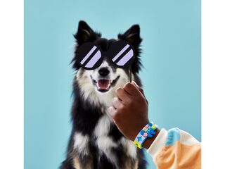 LEGO® My Pets Bracelet